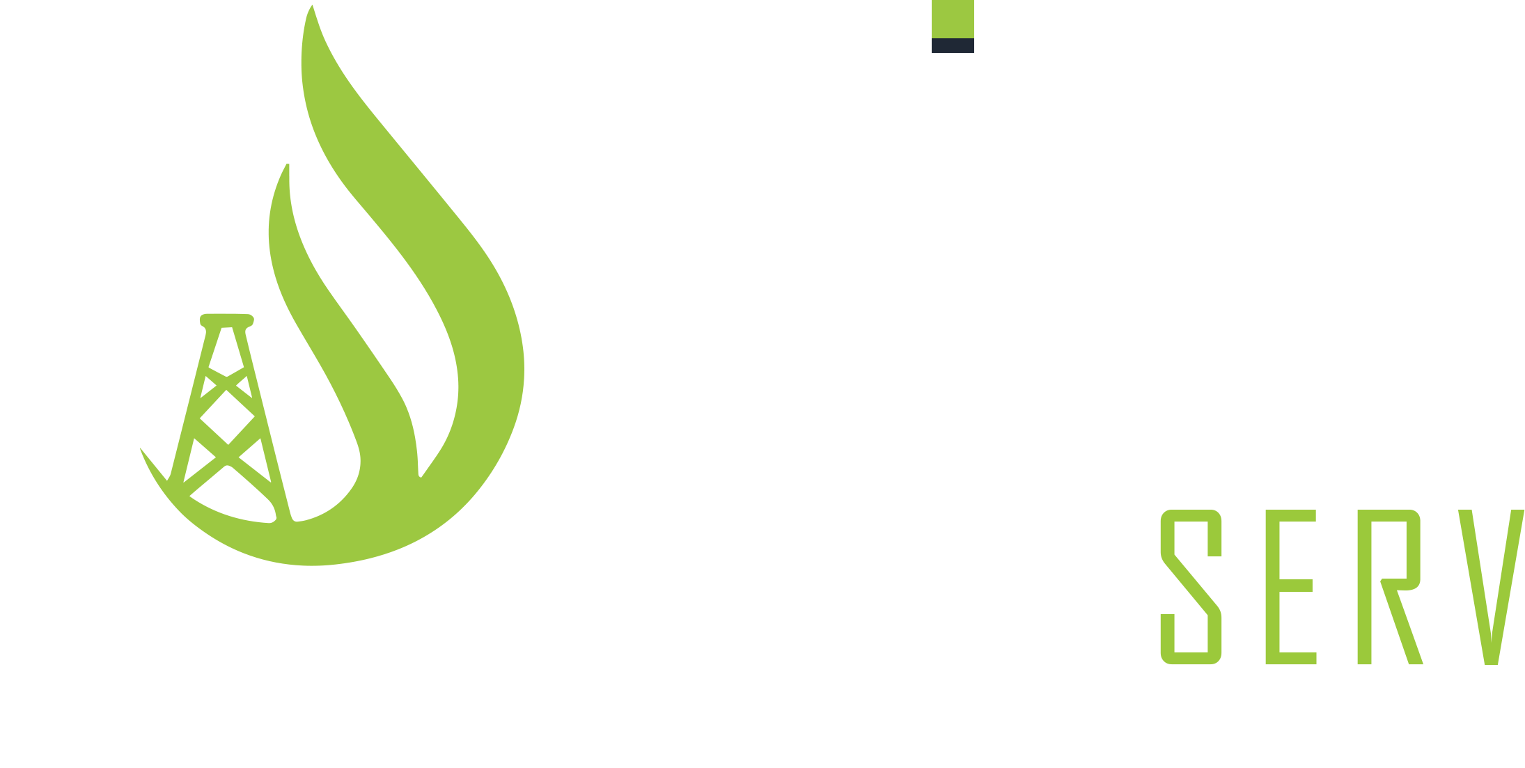 Professional Industrial Solutions & Engineering Services